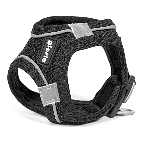 Arnés/Vestido Air Mesh Trek Star von Gloria