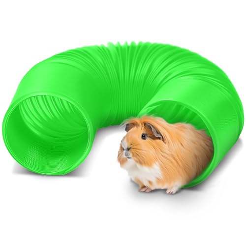 Meerschweinchentunnel und Hamsterröhren, lustige Frettchentunnel, ideales Zubehör für Rattenkäfige, zusammenklappbares Meerschweinchen-Spielzeug für Langeweile, Grün Meerschweinchentunnel und Hamsterröhren, lustige Frettchentunnel, ideales Zubehör für Rattenkäfige, zusammenklappbares Meerschweinchen-Spielzeug für Langeweile, Grün von 2 Brothers Wholesale