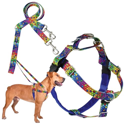 2 Hounds Design Freedom Hundegeschirr und Trainingsleine gegen Ziehen, doppelte Leinenschlaufen, kein Ziehen bei Spaziergängen, gefüttert, um Scheuern zu verhindern, für große Hunde (Größe M 2 Hounds Design Freedom Hundegeschirr und Trainingsleine gegen Ziehen, doppelte Leinenschlaufen, kein Ziehen bei Spaziergängen, gefüttert, um Scheuern zu verhindern, für große Hunde (Größe M von 2 Hounds Design