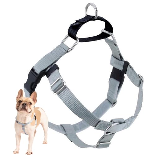 2 Hounds Design Freiheit verhindert Zerren Keine Leine Geschirr nur, 1, x-Large 2 Hounds Design Freiheit verhindert Zerren Keine Leine Geschirr nur, 1, x-Large von 2 Hounds Design