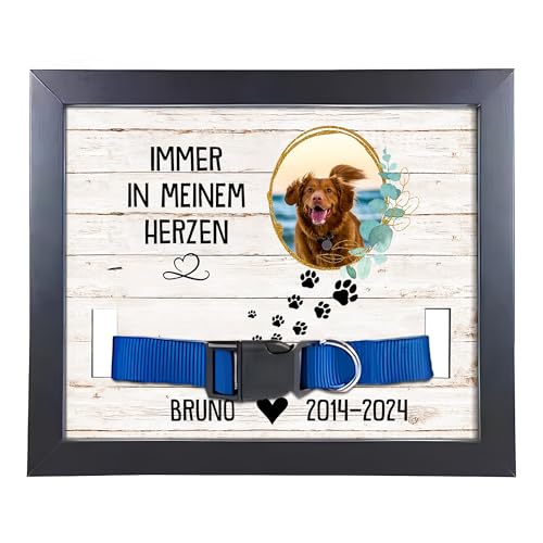 22Feels (Bedruckt Hund Bilderrahmen Erinnerung mit Halsband Holz Personalisiertes Andenken an verstorbenes Haustier Vierbeiner Tot Kondolenz Geschenk (mit Foto und Daten) von 22Feels