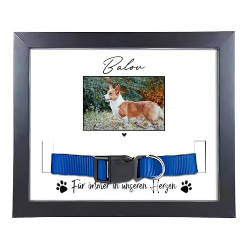 22Feels (Bedruckt Hund Bilderrahmen Erinnerung mit Halsband Holz Personalisiertes Andenken an verstorbenes Haustier Vierbeiner Tot Kondolenz Geschenk (mit Foto und Daten) von 22Feels