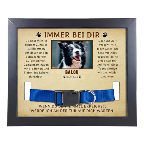 22Feels (Bedruckt Hund Bilderrahmen Erinnerung mit Halsband Holz Personalisiertes Andenken an verstorbenes Haustier Vierbeiner Tot Kondolenz Geschenk (mit Foto und Daten) von 22Feels