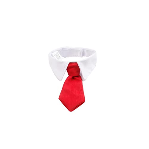 Haustier Hund Katze Krawatte Prop Entzückende Katzen Halsbänder Zubehör Halsband Dekoration, Rot, S31cm von 22Wenbeseung