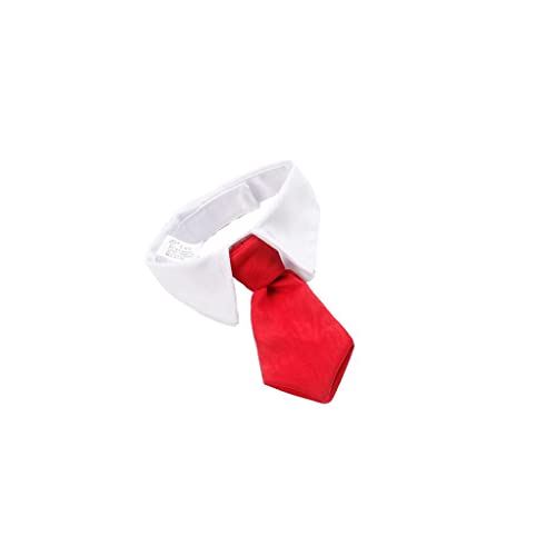 Haustier Hund Katze Krawatte Prop Entzückende Katzen Halsbänder Zubehör Halsband Dekoration, Rot,5 cm, L39 von 22Wenbeseung