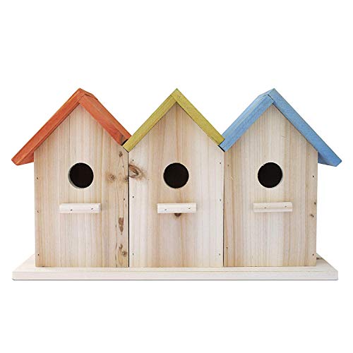 23 Bees Vogelhaus mit 3 Löchern für draußen/drinnen/hängen, Kits für Kinder & Erwachsene, dekoratives Vogelhaus & Heimdekoration, Futterspender im Freien für Vögel, Blauvögel, Zaunkönne & Küken, Allwetter 23 Bees Vogelhaus mit 3 Löchern für draußen/drinnen/hängen, Kits für Kinder & Erwachsene, dekoratives Vogelhaus & Heimdekoration, Futterspender im Freien für Vögel, Blauvögel, Zaunkönne & Küken, Allwetter von 23 Bees