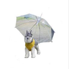 2N Transparente Regenschirmleine Hundeleine Spaziergang Hund Regenschirm Hund Regenmantel Poncho Haustierbedarf von 2N