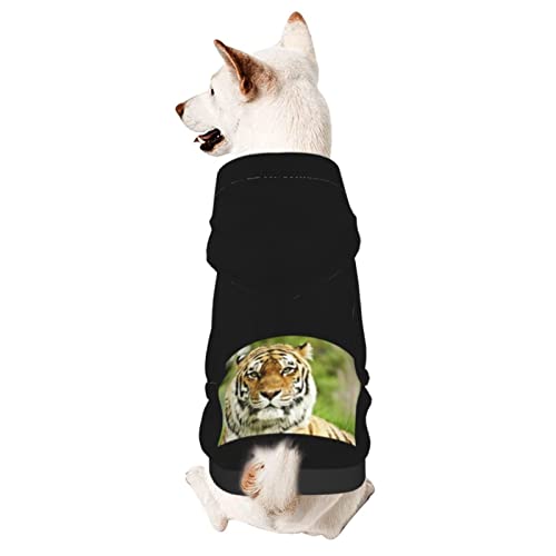 Hund Hoodie, Tiger Hundemantel Atmungsaktiver Zweibein-Kleidung Mode Pet Kleidung Für Welpen Mittelgroße Hunde Katze S von 321