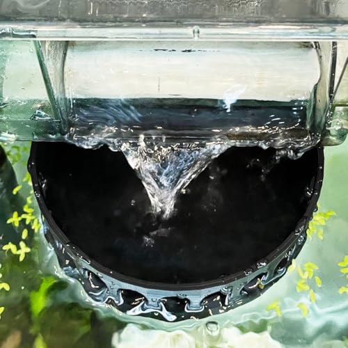 3DAquaticSolutions Aquarium-Filterleitblech, universeller Kochfeldfilter, langsamer Durchfluss, Design für Betta-Fisch- und Garnelen-Tanks, 2 Saugnäpfe für einfach zu installierendes Aquarium (groß) 3DAquaticSolutions Aquarium-Filterleitblech, universeller Kochfeldfilter, langsamer Durchfluss, Design für Betta-Fisch- und Garnelen-Tanks, 2 Saugnäpfe für einfach zu installierendes Aquarium (groß) von 3DAquaticSolutions