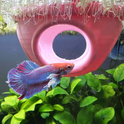 3DAquaticSolutions Floating Betta Hide Out Betta Anreicherung Spielzeug Futterring für Fische & Garnelen Sichere Kunststoff Aquarium Ornament (Rosa) von 3DAquaticSolutions