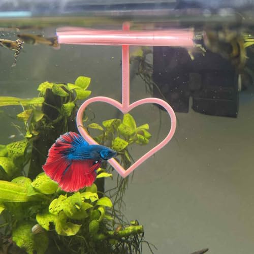 3DAquaticSolutions Floating Heart Betta Training Ring, Heart Active Betta Training Floating Ring, Floating Feeder, Betta Loops für Aquarium Dekor, Rosa, 9,7 cm x 9,4 cm (Rosa, Einzel) von 3DAquaticSolutions