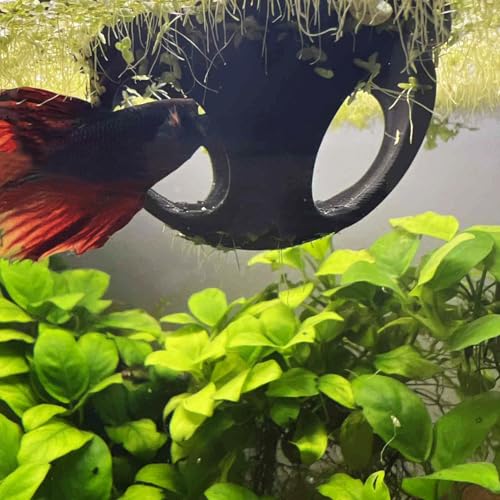 3DAquaticSolutions Schwimmendes Betta Versteck Betta Anreicherung Spielzeug Futterring für Fische & Garnelen Sichere Kunststoff Aquarium Ornament (Schwarz) von 3DAquaticSolutions