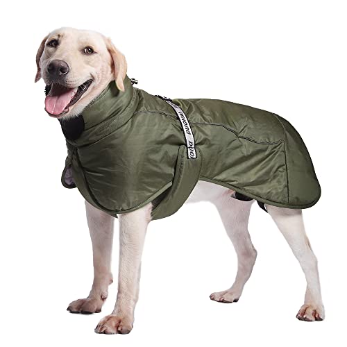 Verdickte Hunde-Winterjacke für Haustiere, kaltes Wetter, warm, winddicht, Schneeanzug, Outdoor-Bekleidung für mittelgroße und große Hunde (XXL, Amy Green) von 3MNSCD