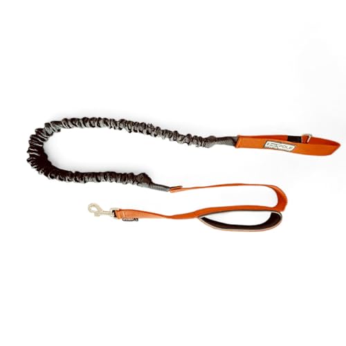 Leine mit Stoßdämpfer und Griff, für mittelgroße Hunde, groß und sehr groß, Orange, Größe XL Leine mit Stoßdämpfer und Griff, für mittelgroße Hunde, groß und sehr groß, Orange, Größe XL von 3RD-POLE