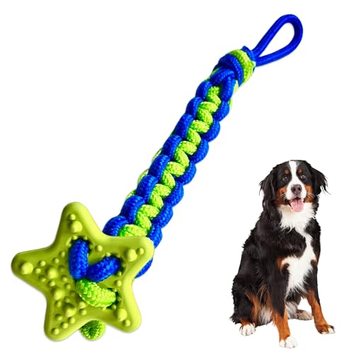 4BF Zerrgummi Stern mit geflochtenem Nylonseil, Erdnussbutterduft, langlebiges Apportier- und Tauziehspielzeug für mittelgroße und große Hunde, fördert die Mundhygiene, sicheres Hundespielzeug, grünes 4BF Zerrgummi Stern mit geflochtenem Nylonseil, Erdnussbutterduft, langlebiges Apportier- und Tauziehspielzeug für mittelgroße und große Hunde, fördert die Mundhygiene, sicheres Hundespielzeug, grünes von 4BF