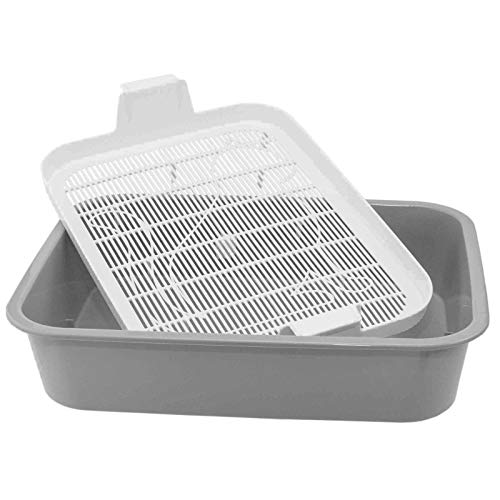 4BIG.fun Erste Katzentoilette Schalentoilette Katzenklo kleine Toliette für Kätzchen Katzenbabys Junge Katzen WC Tray mit Reinigungssieb stubenrein auch ohne Katzenstreu in Grau oder Grün von 4BIG.fun