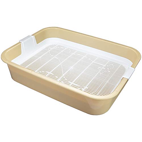 Erste Katzentoilette Schalentoilette Katzenklo - perfekt für Kätzchen Katzenbabys Junge Katzen - WC Tray mit Reinigungssieb - stubenrein auch ohne Katzenstreu - Verfügbar in Grau - Grün - Braun von 4BIG.fun