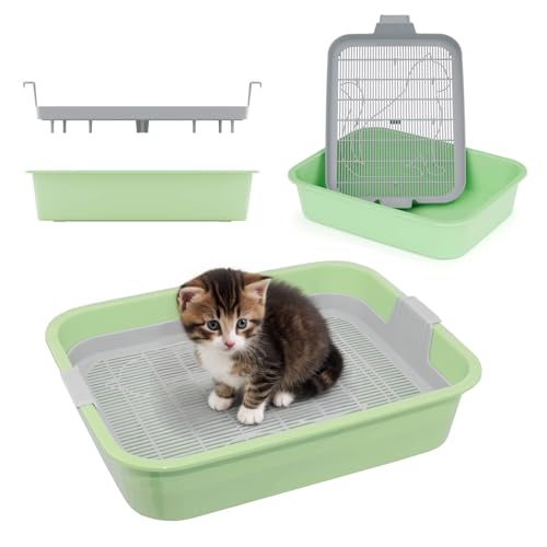 Kätzchentoilette Kleines Katzenklo für Kitten mit Sieb Toilette für Kleintiere Kaninchentoilette Nagertoilette Grün Kätzchentoilette Kleines Katzenklo für Kitten mit Sieb Toilette für Kleintiere Kaninchentoilette Nagertoilette Grün von 4BIG.fun