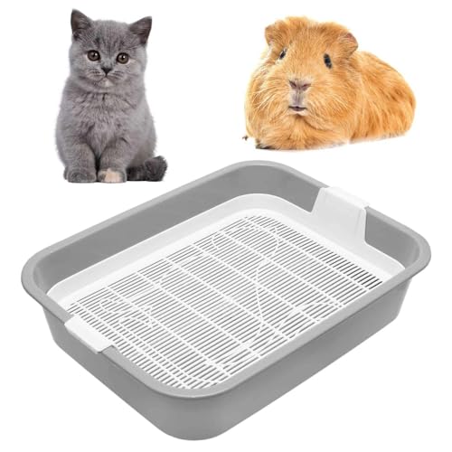 4BIG.fun Kätzchentoilette Kleine Katzenklo für Kitten mit Sieb Toilette für Kleintiere Kaninchentoilette Nagertoilette 4BIG.fun Kätzchentoilette Kleine Katzenklo für Kitten mit Sieb Toilette für Kleintiere Kaninchentoilette Nagertoilette von 4BIG.fun