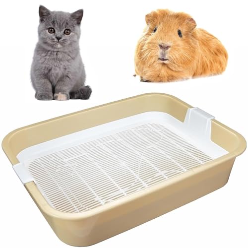 4BIG.fun Kätzchentoilette Kleine Katzenklo für Kitten mit Sieb Toilette für Kleintiere Kaninchentoilette Nagertoilette 4BIG.fun Kätzchentoilette Kleine Katzenklo für Kitten mit Sieb Toilette für Kleintiere Kaninchentoilette Nagertoilette von 4BIG.fun
