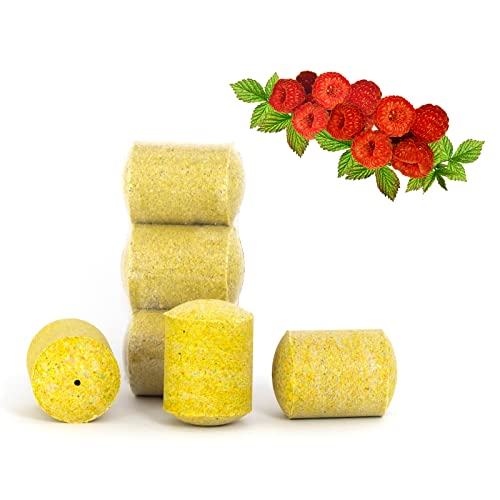 Presskuchen Plankton Ölkuchen Fischköder Angelfutter Makuschatnik-Futterkorb Lockfutter zum Angeln Himbeere von 4BIG.fun