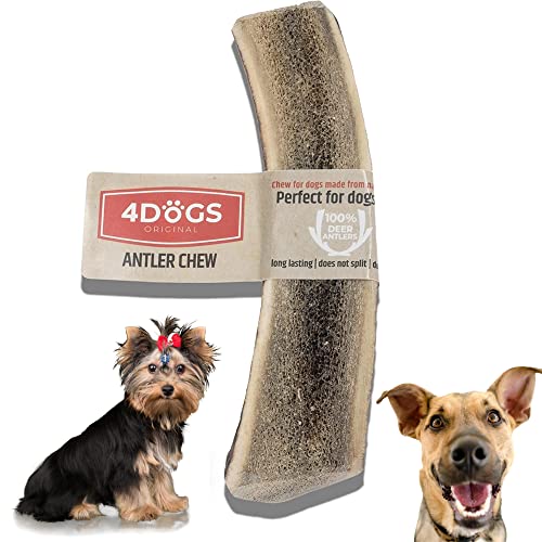 4DOGS Hirschgeweih Hund - Hunde-Kauartikel, langlebiges, natürliches Hirschgeweih für Hunde, 10 cm lang, 1 Stück, leichtes Kauen, geteiltes Geweih, optimal für kauknochen Hund welpe (2–10 kg) S halb von 4DOGS ORIGINAL