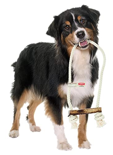 4DOGS ORIGINAL Hundeseilspielzeug | Hundespielzeug | Welpen-Beißring | Kombiniert mit natürlichem Kaugeweih | 100% natürlich glutenfrei | Non-GMO | 1pc Hook Easy Chew - Large Plus von 4DOGS ORIGINAL