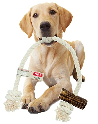 4DOGS ORIGINAL Hundeseilspielzeug | Hundespielzeug | Beißspielzeug für Welpen | Kombiniert mit natürlichem Kaugeweih |100% natürlich glutenfrei| GVO-frei| Hundespielzeug-1 Stück Einzelschnur-XL Mix von 4DOGS ORIGINAL
