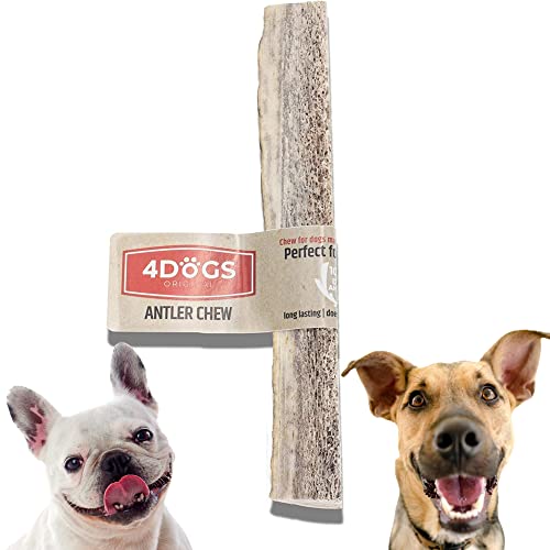 4DOGS Kausnacks für Hunde Langanhaltendes natürliches Hirschgeweih | Kausnacks für Hunde | Hundegeweih - 1 Stück | Kauspielzeug für Hunde|11-14cm lang|Ideal für kleine bis mittelgroße Hunde(2kg-20kg) von 4DOGS ORIGINAL