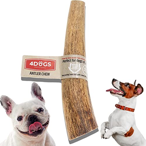 4DOGS Kausnacks für Hunde Langanhaltendes natürliches Hirschgeweih | Kausnacks für Hunde | Hundegeweih - 1 Stück | Kauspielzeug für Hunde | 15 cm lang | am besten für mittelgroße Hunde (8 kg-35 kg) von 4DOGS ORIGINAL