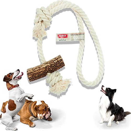 4DOGS ORIGINAL Hundeseilspielzeug | Hundespielzeug | Beißspielzeug für Welpen | Kombiniert mit natürlichem Kaugeweih | 100% natürlich glutenfrei | GVO-frei | Hundespielzeug - 1 Stück Loop - XXL Mix von 4DOGS ORIGINAL