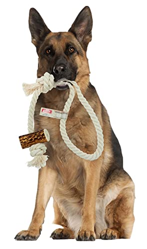4DOGS ORIGINAL Hundeseilspielzeug | Hundespielzeug | Beißspielzeug für Welpen | Kombiniert mit natürlichem Kaugeweih | 100% natürlich glutenfrei | GVO-frei | Hundespielzeug - 1 Stück Loop - XL Mix von 4DOGS ORIGINAL