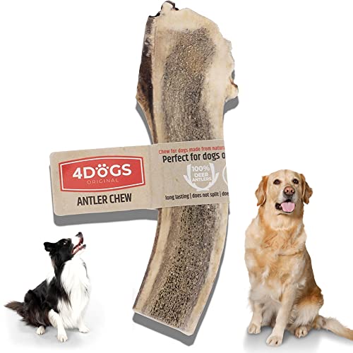 4DOGS Kausnacks für Hunde Langanhaltendes natürliches Hirschgeweih| Kausnacks für Hunde | Hundegeweih - 1 Stück | Kauspielzeug für Hunde | 12 cm lang | Am besten für mittelgroße Hunde (2 kg-20 kg) von 4DOGS ORIGINAL