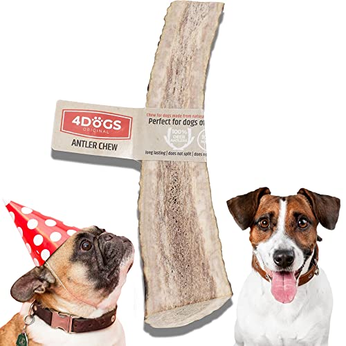 4DOGS Kausnacks für Hunde Langanhaltendes natürliches Hirschgeweih | Kausnacks für Hunde | Hundegeweih - 1 Stück | Kauspielzeug für Hunde | 15 cm lang | Am besten für mittelgroße Hunde (8 kg-35 kg) von 4DOGS ORIGINAL