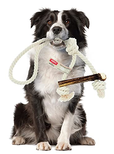 4DOGS ORIGINAL Hundeseilspielzeug | Hundespielzeug | Welpen-Beißring | Kombiniert mit natürlichem Kaugeweih | 100% natürlich glutenfrei | Non-GMO | 1 Stück Knot Easy Chew - Large Plus von 4DOGS ORIGINAL