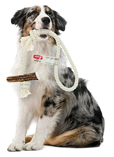 4DOGS ORIGINAL Hundeseilspielzeug | Hundespielzeug | Beißspielzeug für Welpen | Kombiniert mit natürlichem Kaugeweih | 100% natürlich glutenfrei | GVO-frei | Hundespielzeug -1 Stück Loop-Medium Mix von 4DOGS ORIGINAL