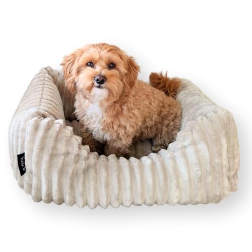 4L Textil Bella Plüsch-Hundebett Premium-LINE Kuscheliges Hundekörbchen aus Cord Katzenkorb Hundekorb für Welpen Hundebett flauschig Hundesofa kleine Hunde (Beige, 60x40 cm) von 4L Textil