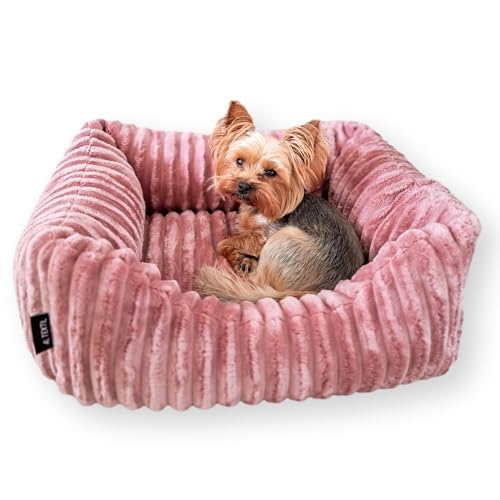 4L Textil Bella Plüsch-Hundebett Premium-LINE Kuscheliges Hundekörbchen aus Cord Katzenkorb Hundekorb für Welpen Hundebett flauschig Hundesofa kleine Hunde (Rosa, 60x40 cm) von 4L Textil