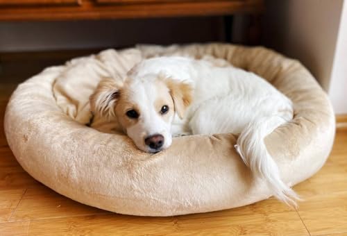 4L Textil Buzzy Hundebett kleine Hunde Hundekörbchen Hundekorb kleine Hunde Hundekissen waschbar Katzensofa Katzenbett Katzenkörbchen (60x55 cm, Beige) von 4L Textil