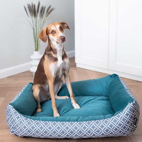 4L Textil OTTO Kuscheliges Hundebett große Hunde Bezug abnehmbar und waschbar Hundekorb große Hunde Hundekissen flauschig Hundekörbchen Hundesofa Petrol (120x100 cm, Türkis) 4L Textil OTTO Kuscheliges Hundebett große Hunde Bezug abnehmbar und waschbar Hundekorb große Hunde Hundekissen flauschig Hundekörbchen Hundesofa Petrol (120x100 cm, Türkis) von 4L Textil