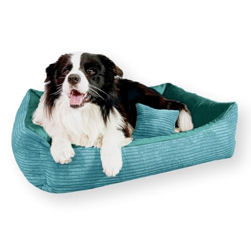 4L Textil Molly Kuscheliges Cord Hundebett mittelgroße Hunde Hundekorb aus Cord Hundekörbchen mittelgroße Hunde Hundesofa Türkis (80x60 cm, Türkis) 4L Textil Molly Kuscheliges Cord Hundebett mittelgroße Hunde Hundekorb aus Cord Hundekörbchen mittelgroße Hunde Hundesofa Türkis (80x60 cm, Türkis) von 4L Textil