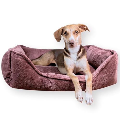 4L Textil IRIS Orthopädisches Hundebett Premium-LINE Hundekorb orthopädisch Kuscheliges Hundebett mit Bezug Memory Foam(100x80 cm, Rosa) von 4L Textil
