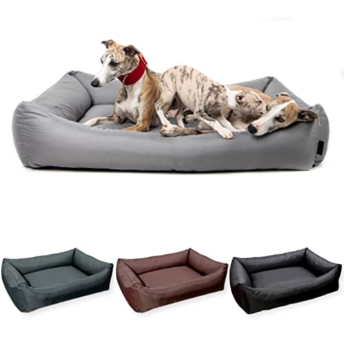 4L Textil Koko Wasserabweisendes Hundebett mittelgroße Hunde Hundekorb Bezug abnehmbar und waschbar Hundekissen wasserfest Hundekörbchen Grau (80x60 cm, Grau) von 4L Textil