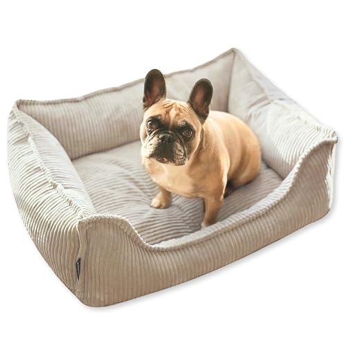 4L Textil Kuscheliges Hundebett aus Cord Hugo Premium-LINE Hundekörbchen orthopädisch für kleine Hunde Hundebett mit Bezug Memory Foam Hundesofa flauschig(Beige, 60x40 cm) von 4L Textil
