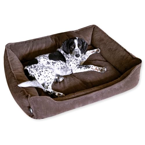 4L Textil Kuscheliges Hundebett aus Cord Hugo Premium-LINE Hundekörbchen orthopädisch für kleine Hunde Hundebett mit Bezug Memory Foam Hundesofa flauschig(Dunkelbraun, 60x40 cm) von 4L Textil