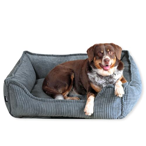 4L Textil Kuscheliges Hundebett aus Cord Hugo Premium-LINE Hundekörbchen orthopädisch für kleine Hunde Hundebett mit Bezug Memory Foam Hundesofa flauschig(Dunkelgrau, 60x40 cm) von 4L Textil