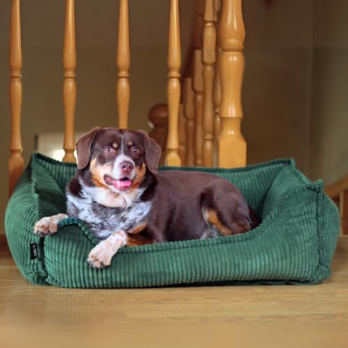 4L Textil Kuscheliges Hundebett aus Cord Hugo Premium-LINE Hundekörbchen orthopädisch für kleine Hunde Hundebett mit Bezug Memory Foam Hundesofa flauschig(Grün, 60x40 cm) von 4L Textil