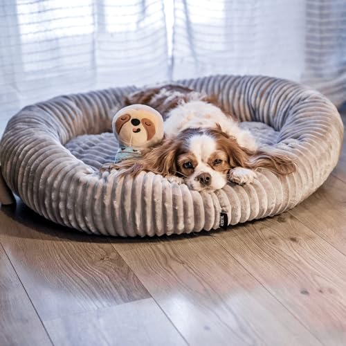 4L Textil Luna Kuscheliges Hundebett kleine Hunde Katzenbett flauschig Hundekörbchen kleine Hunde Hundekorb für Welpen Hundekissen Katzenkissen waschbar (55x50 cm, Graphit) von 4L Textil