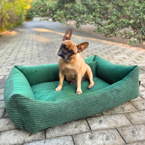 4L Textil Molly Kuscheliges Hundebett Cord Hundekorb kleine Hunde Hundekissen Katzenbett Hundekörbchen Kord (60x40 cm, Grün) von 4L Textil