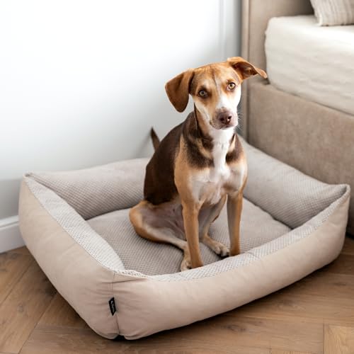 4L Textil Teo Kuscheliges Hundebett Bezug abnehmbar und waschbar Hundekorb mittelgroße Hunde Hundekissen flauschig Hundekörbchen Hundesofa(80x60 cm, Beige) von 4L Textil